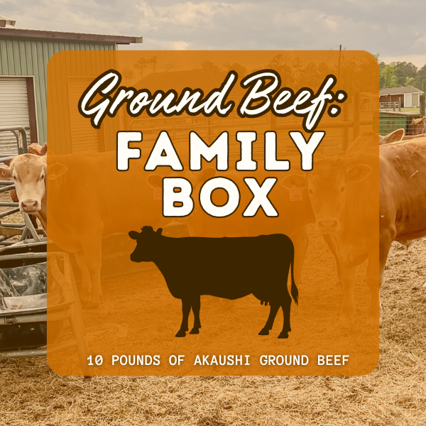 Ground Beef: Family Box | 10 lb
