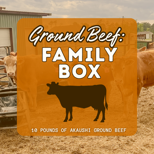 Ground Beef: Family Box | 10 lb
